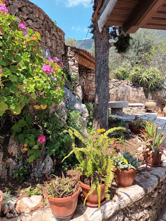 Aphrodite'S Maisonette On Corfu Island Barbati Exteriör bild